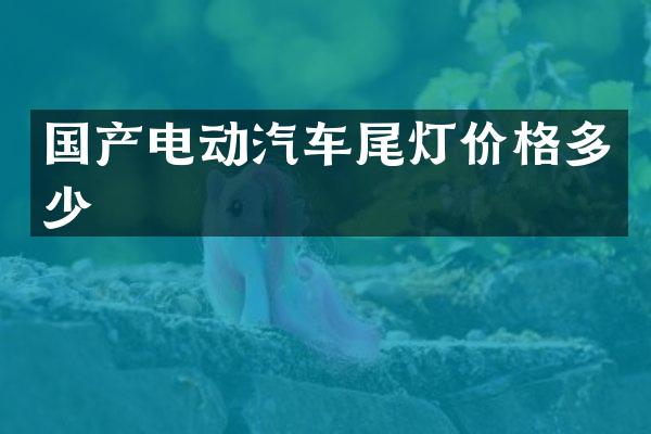国产电动汽车尾灯价格多少