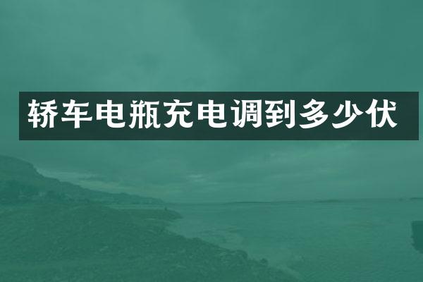 轿车电瓶充电调到多少伏