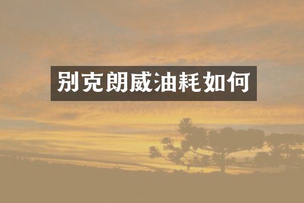 别克朗威油耗如何