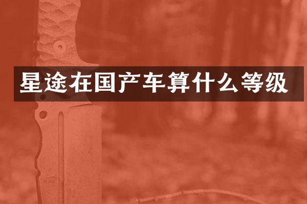 星途在国产车算什么等级