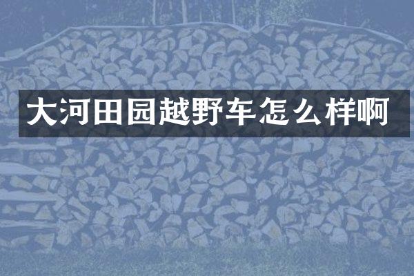 大河田园越野车怎么样啊