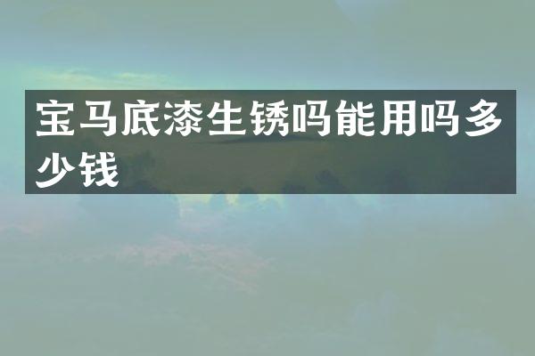 宝马底漆生锈吗能用吗多少钱