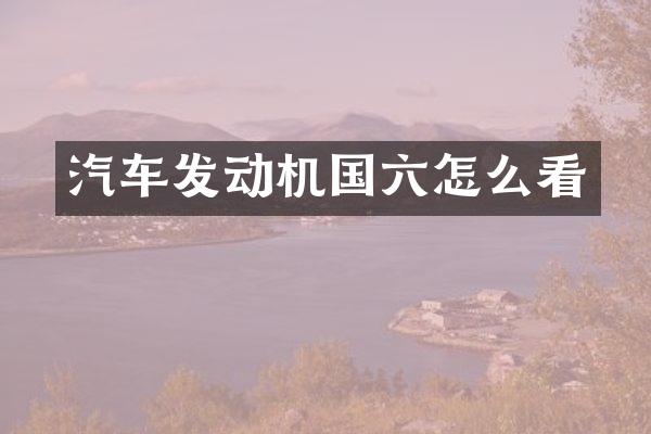 汽车发动机国六怎么看