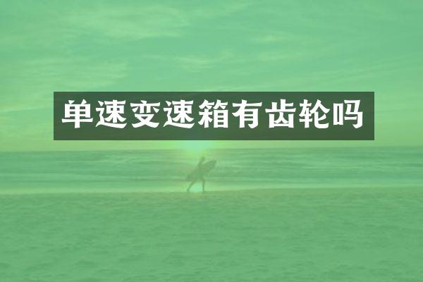 单速变速箱有齿轮吗