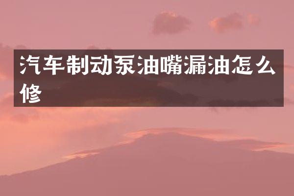 汽车制动泵油嘴漏油怎么修