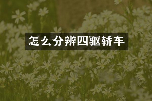 怎么分辨四驱轿车