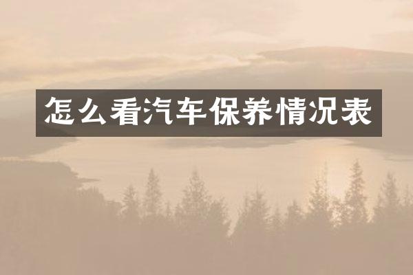 怎么看汽车保养情况表