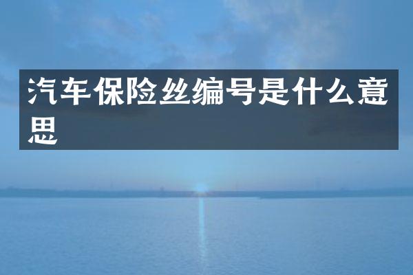 汽车保险丝编号是什么意思