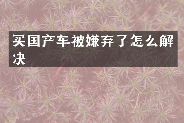 买国产车被嫌弃了怎么解决
