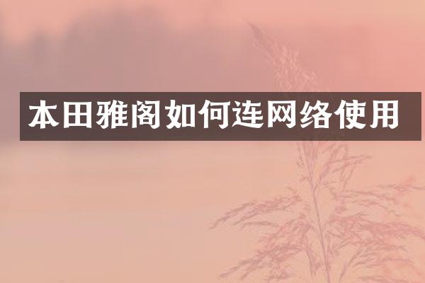 本田雅阁如何连网络使用