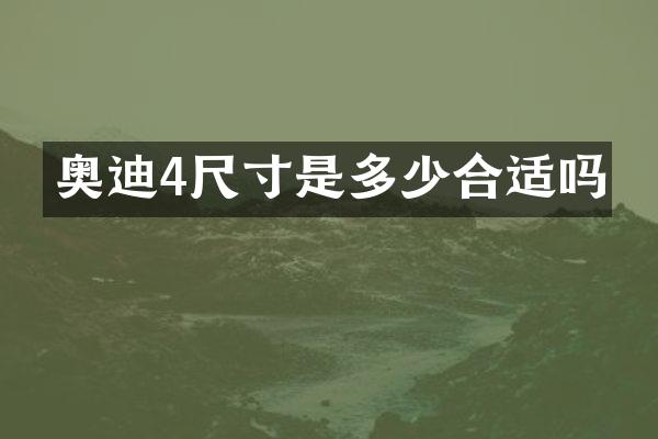 奥迪4尺寸是多少合适吗