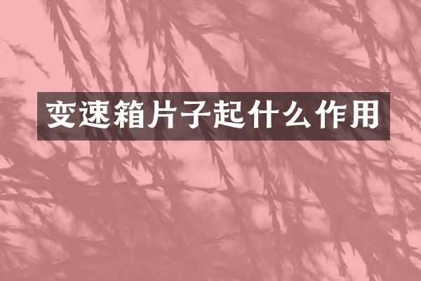 变速箱片子起什么作用