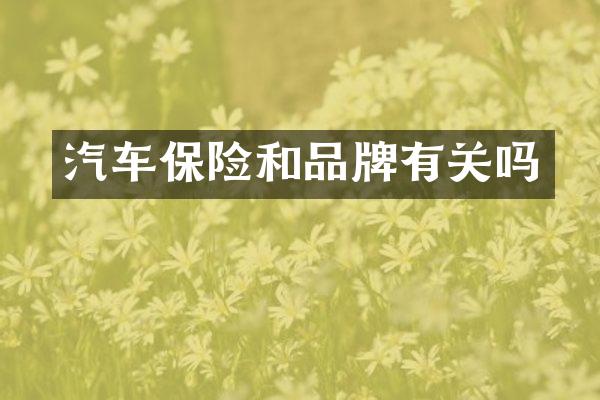 汽车保险和品牌有关吗
