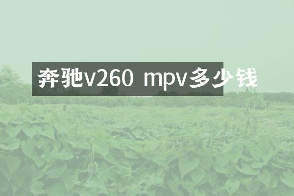 奔驰v260 mpv多少钱