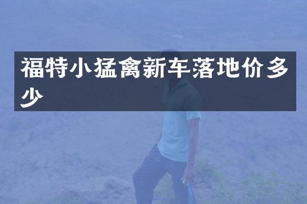 福特小猛禽新车落地价多少