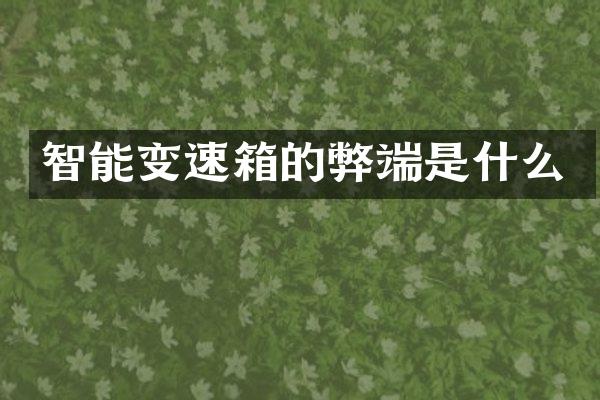 智能变速箱的弊端是什么
