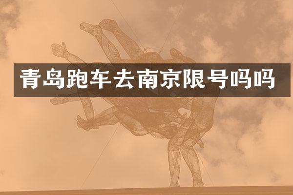 青岛跑车去南京限号吗吗