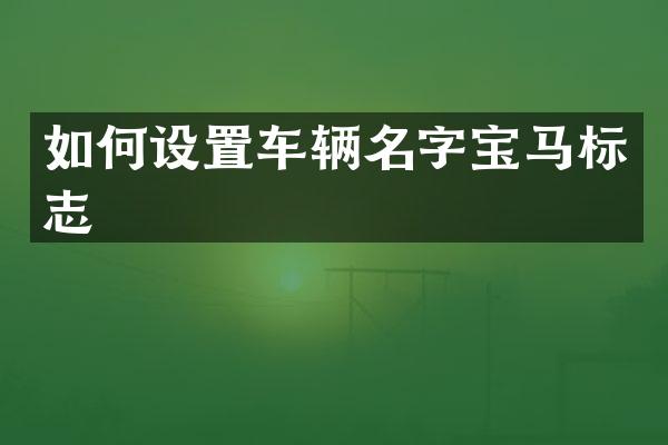 如何设置车辆名字宝马标志
