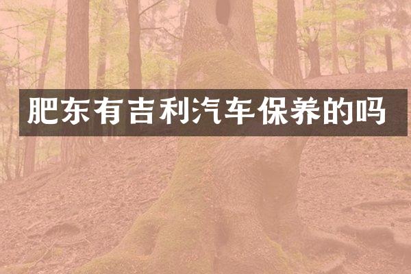 肥东有吉利汽车保养的吗