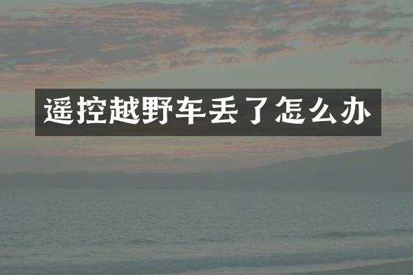 遥控越野车丢了怎么办