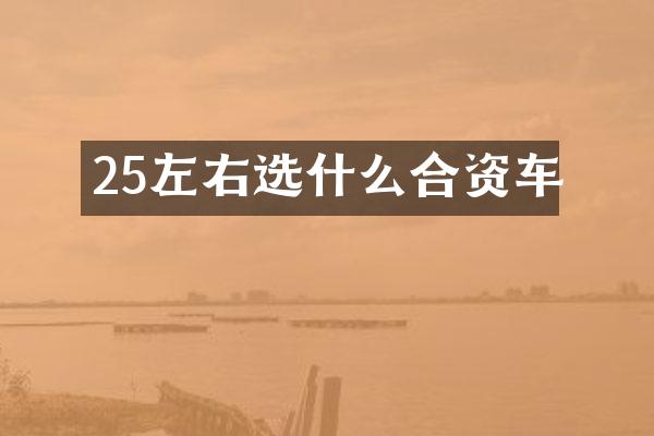 25左右选什么合资车