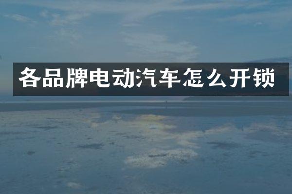 各品牌电动汽车怎么开锁