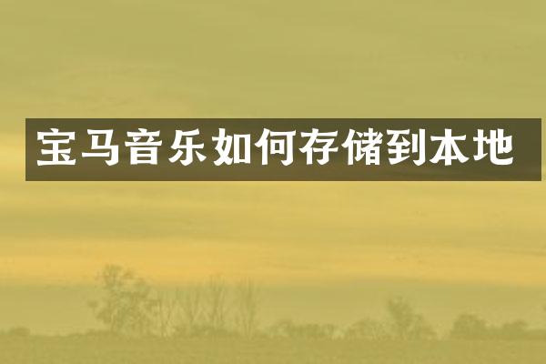 宝马音乐如何存储到本地