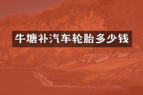 牛塘补汽车轮胎多少钱
