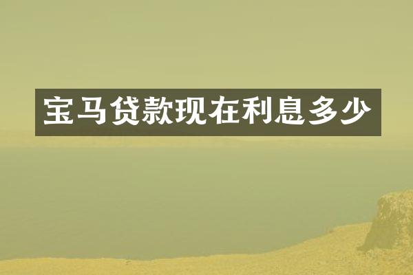 宝马贷款现在利息多少