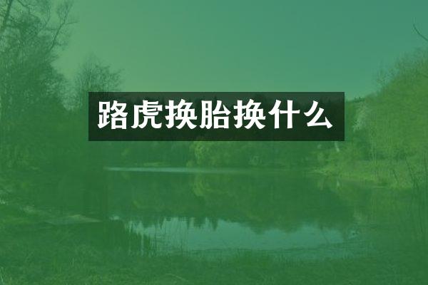 路虎换胎换什么