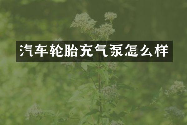 汽车轮胎充气泵怎么样