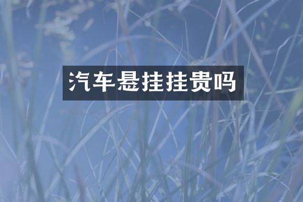 汽车悬挂挂贵吗