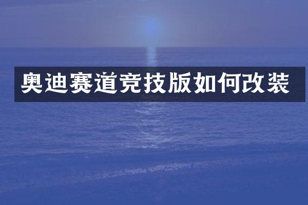 奥迪赛道竞技版如何改装