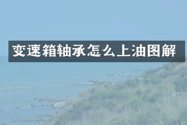 变速箱轴承怎么上油图解