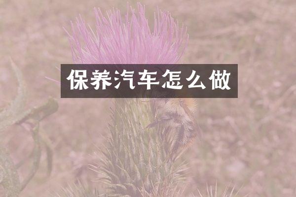 保养汽车怎么做