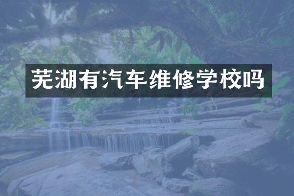 芜湖有汽车维修学校吗