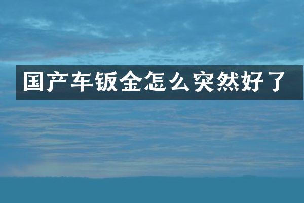 国产车钣金怎么突然好了