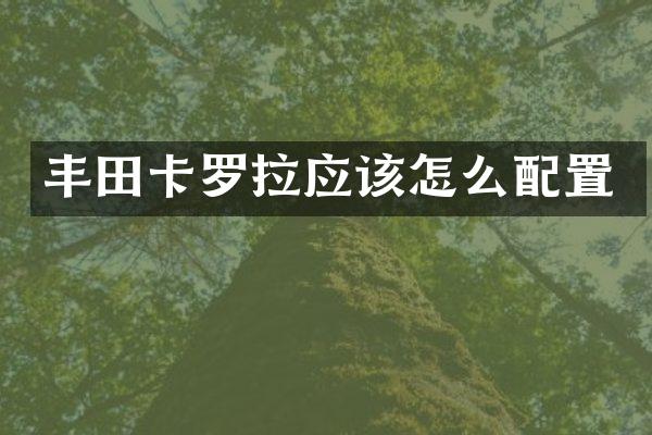 丰田卡罗拉应该怎么配置