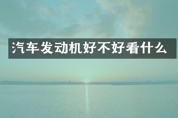 汽车发动机好不好看什么