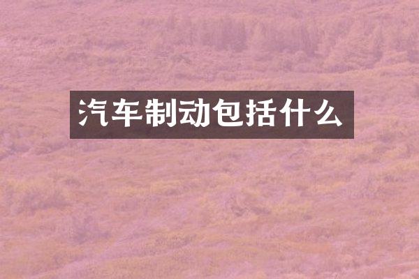汽车制动包括什么
