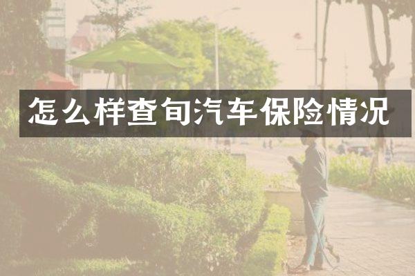 怎么样查旬汽车保险情况