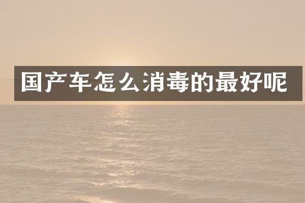 国产车怎么消毒的最好呢