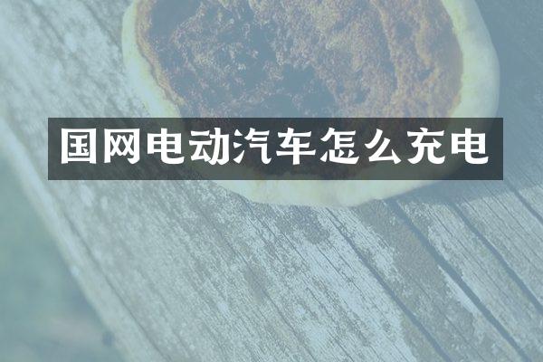 国网电动汽车怎么充电