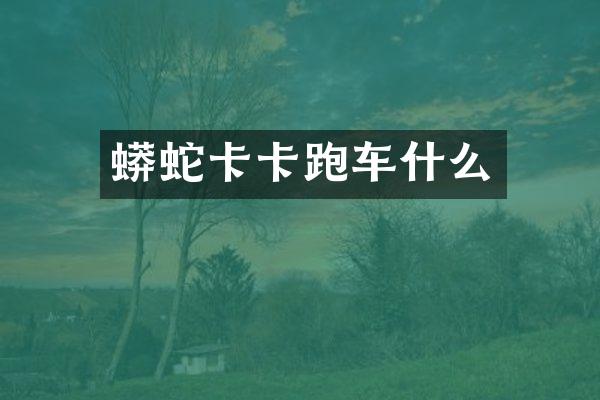 蟒蛇卡卡跑车什么