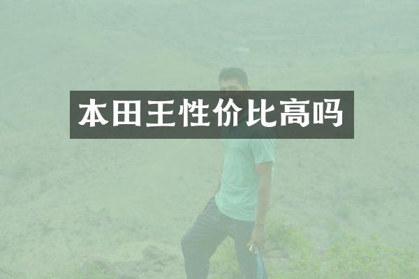 本田王性价比高吗