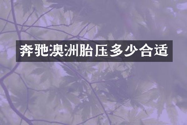 奔驰澳洲胎压多少合适