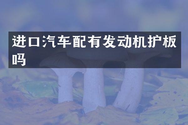 进口汽车配有发动机护板吗