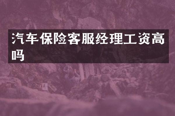 汽车保险客服经理工资高吗