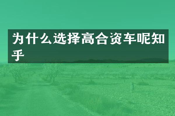 为什么选择高合资车呢知乎