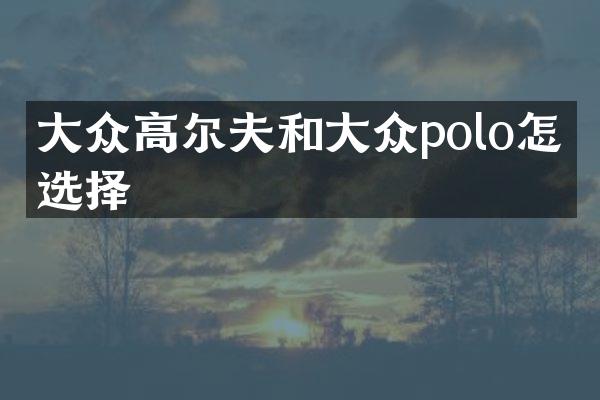 大众高尔夫和大众polo怎么选择